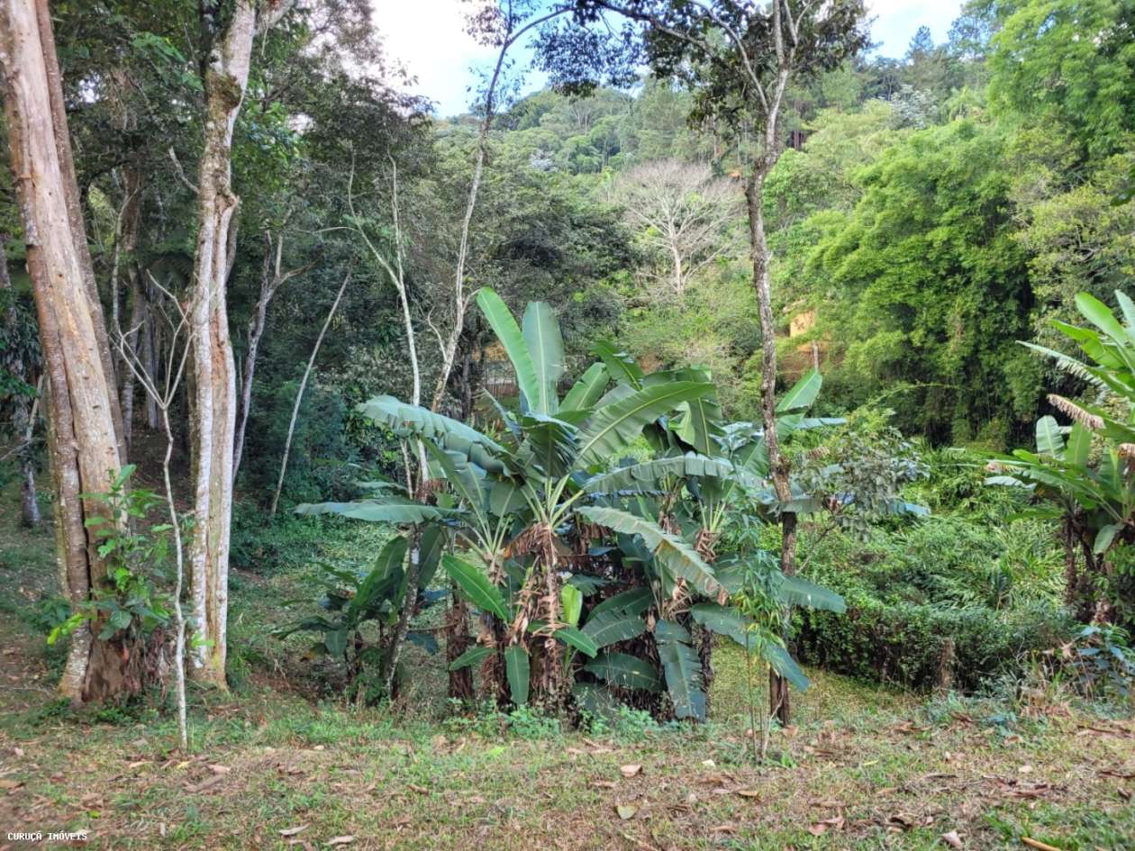 Chácara, 2 quartos, 6720 m² - Foto 19